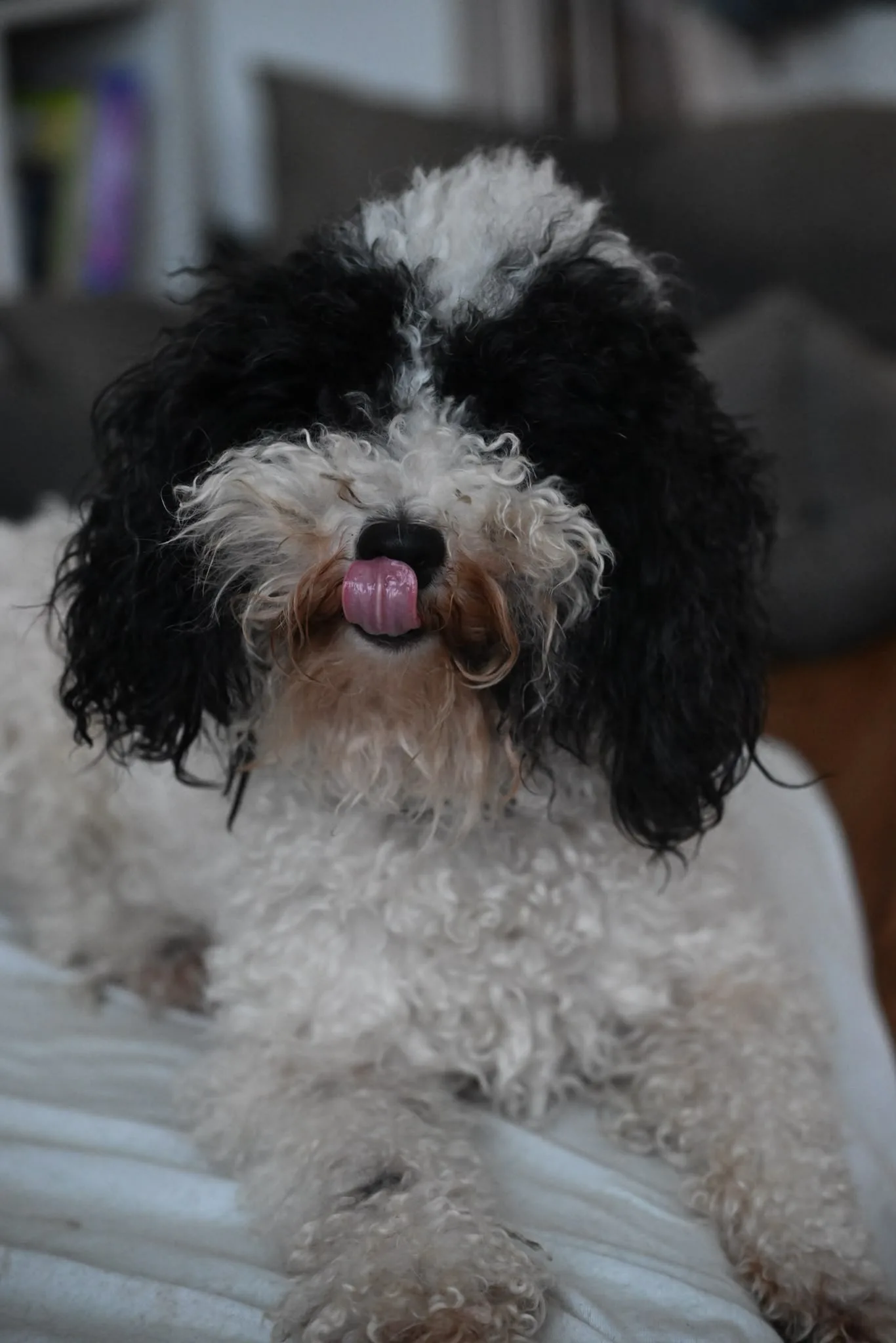 Tongue — photograph by Elad