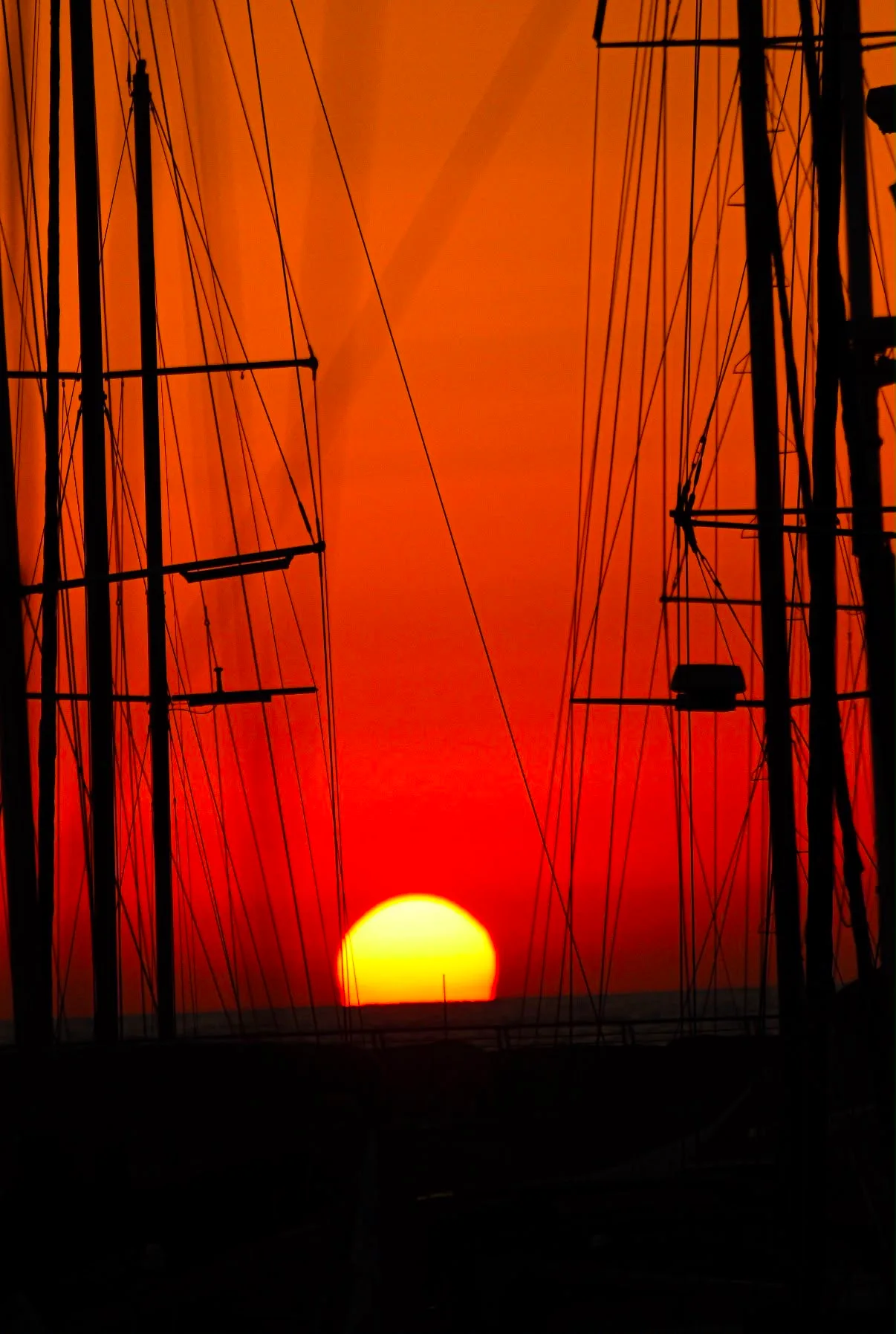 Masts — photograph by Elad