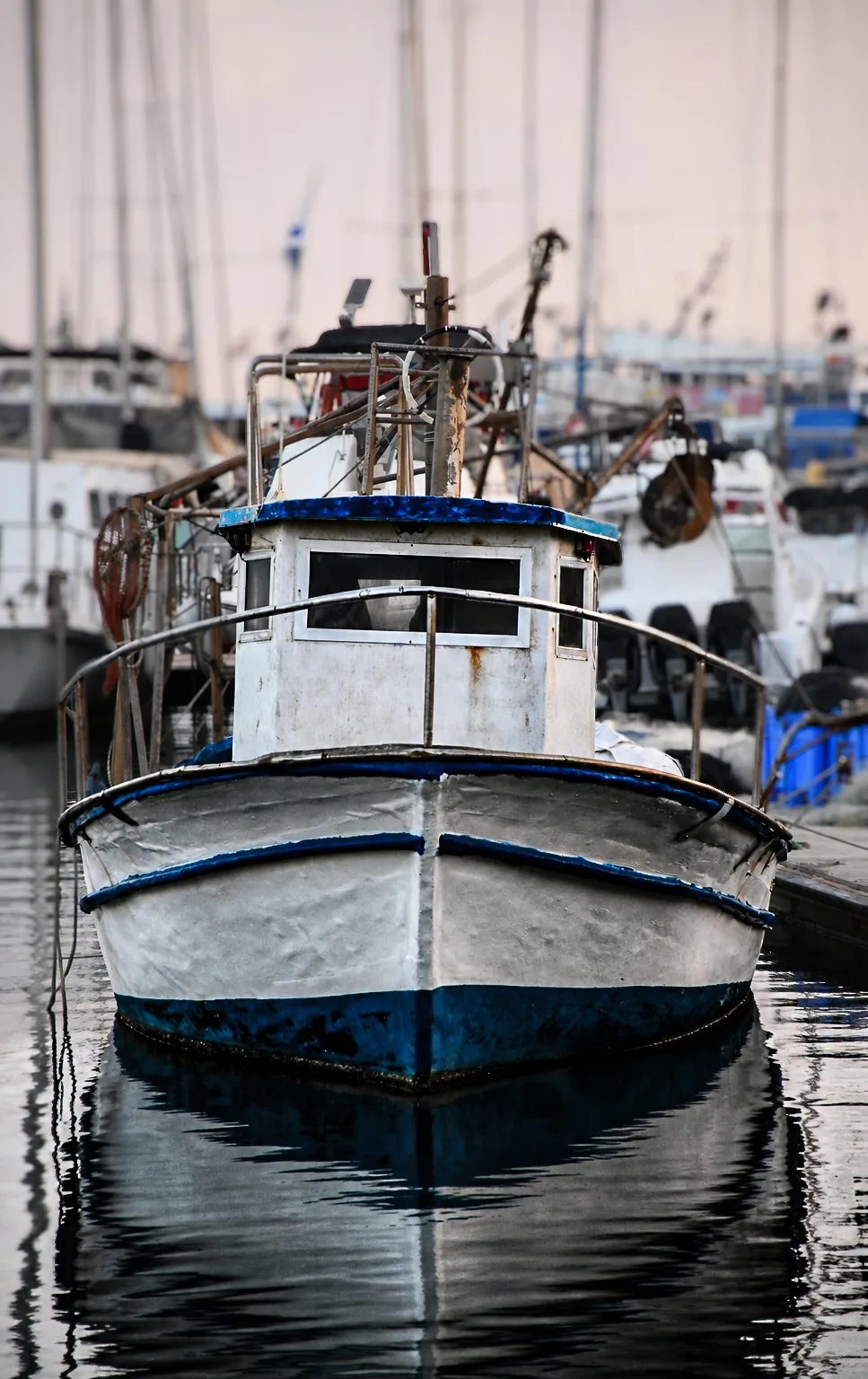 Photograph by Elad